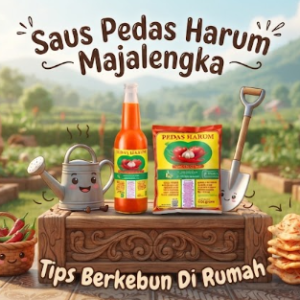 Saus Pedas Harum majalengka bumbu pilihan untuk menemani aktivitas hobi di rumah